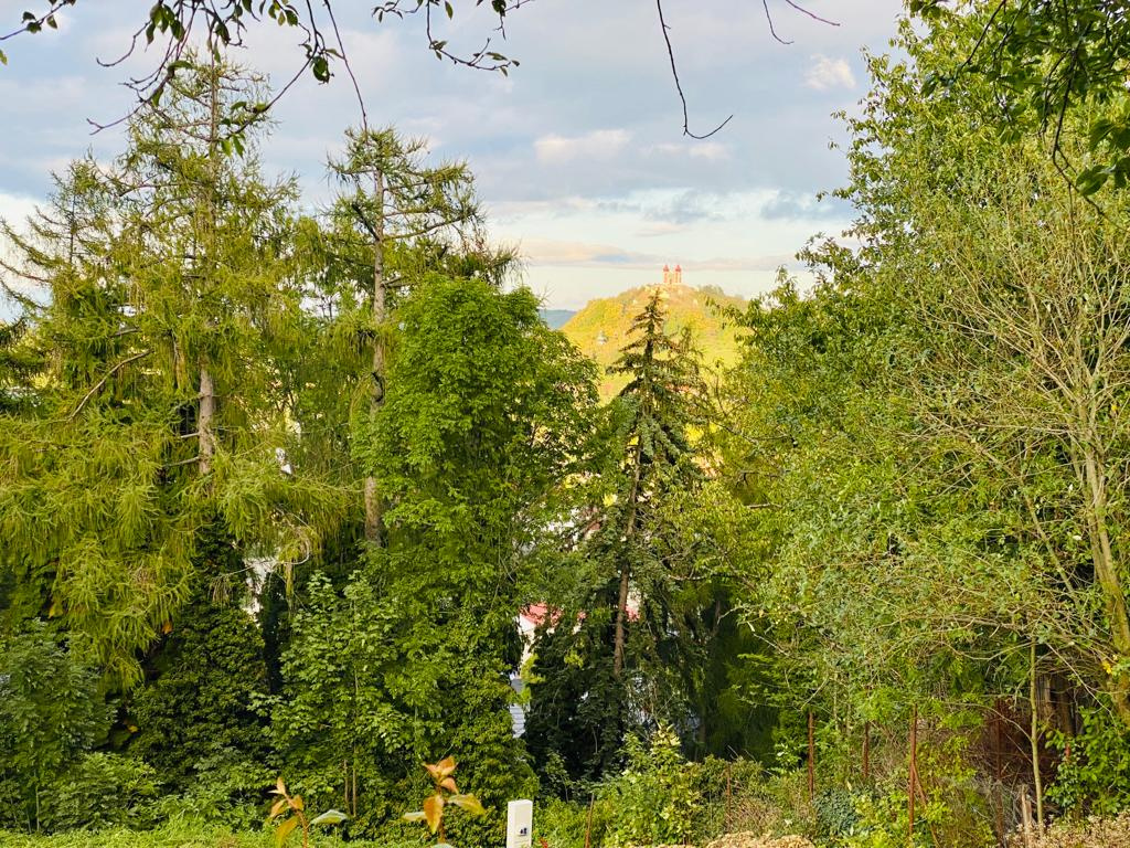 Predám stavebný pozemok na RD v Banskej Štiavnici. - 2