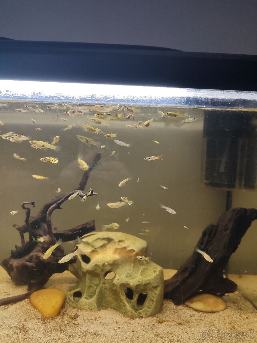 PREDÁM 120L AKVÁRIUM - 2