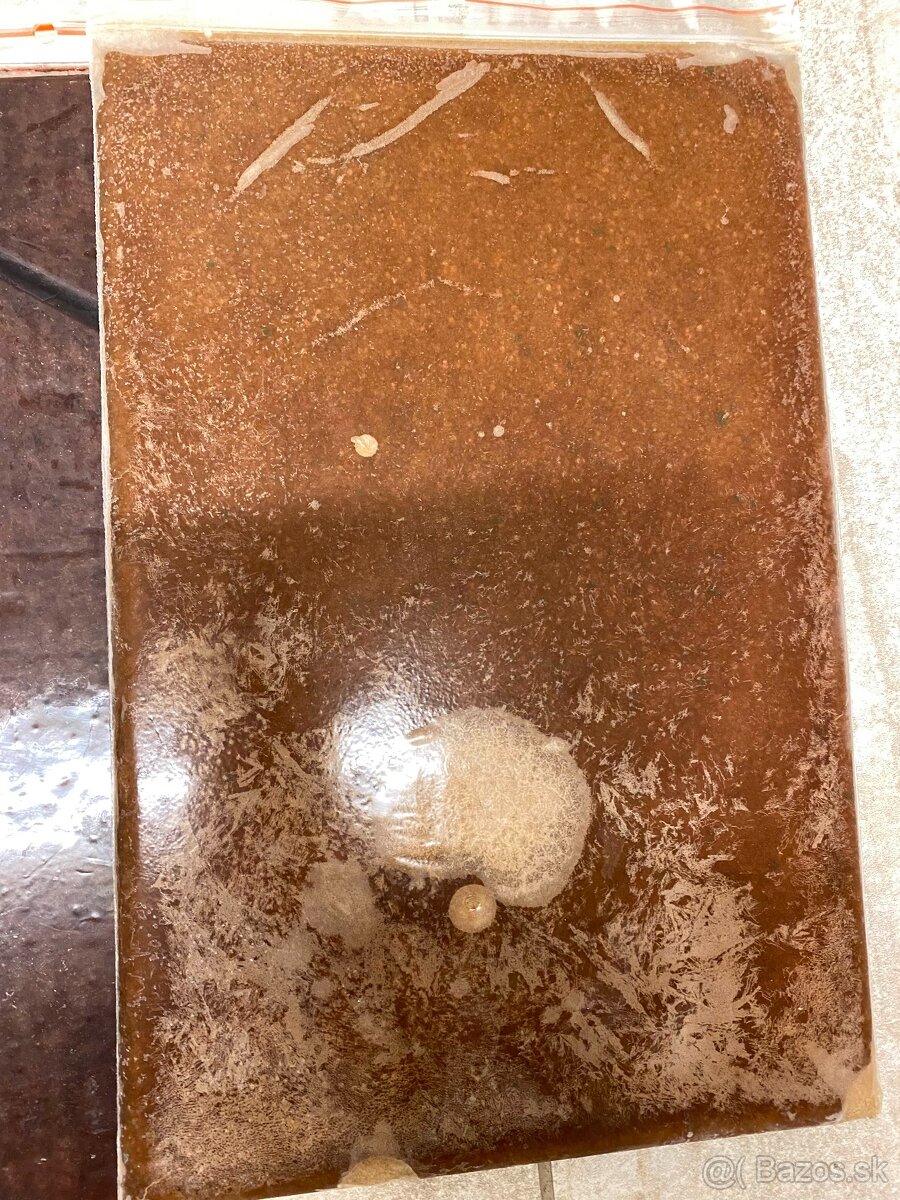 Artemie, discus mix, koretra, dafnie, mysis, hovězí srdce - 2