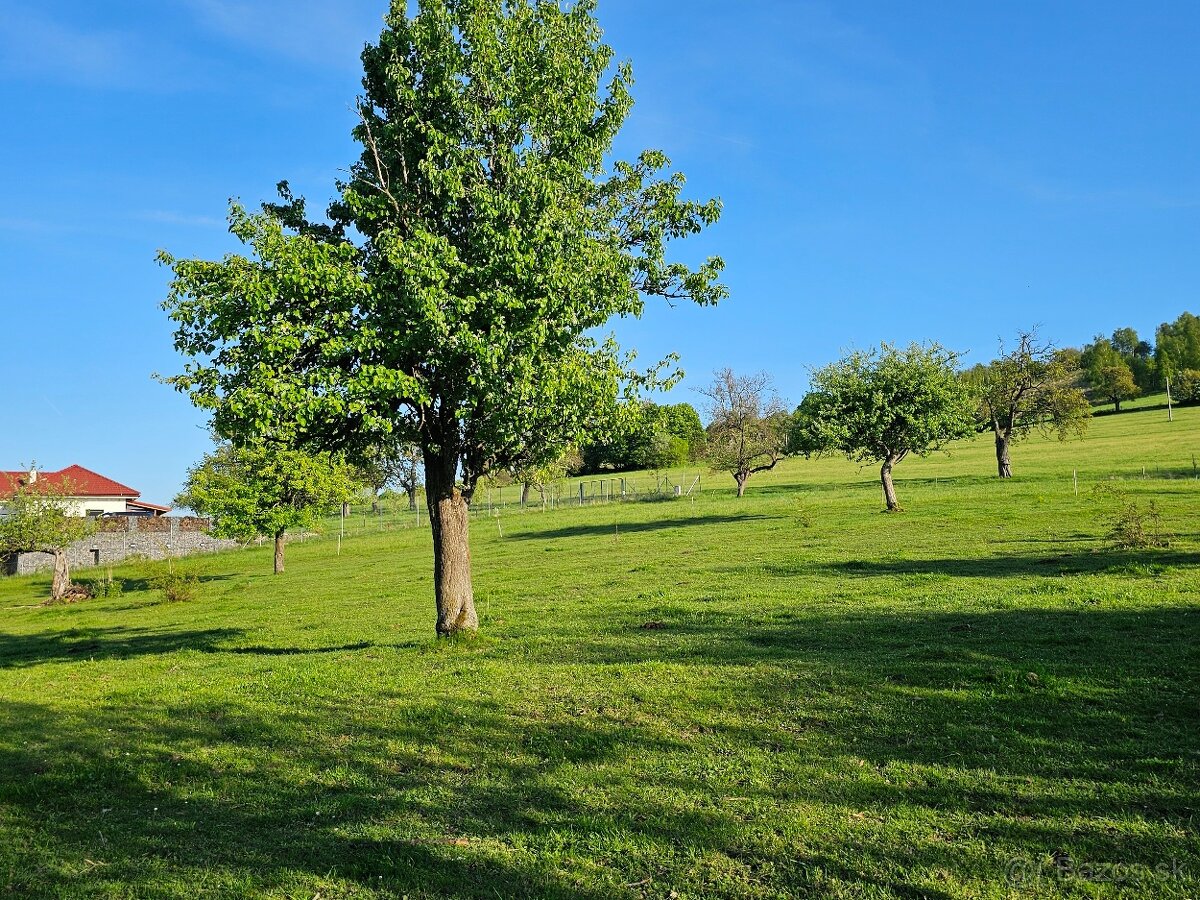 Stavebný pozemok Nová Baňa s projektom chaty - 2