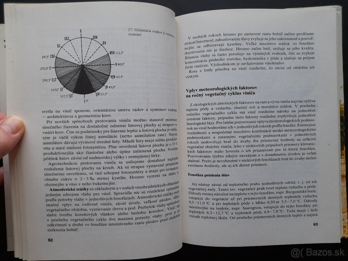 Rez a vedenie viniča - 2