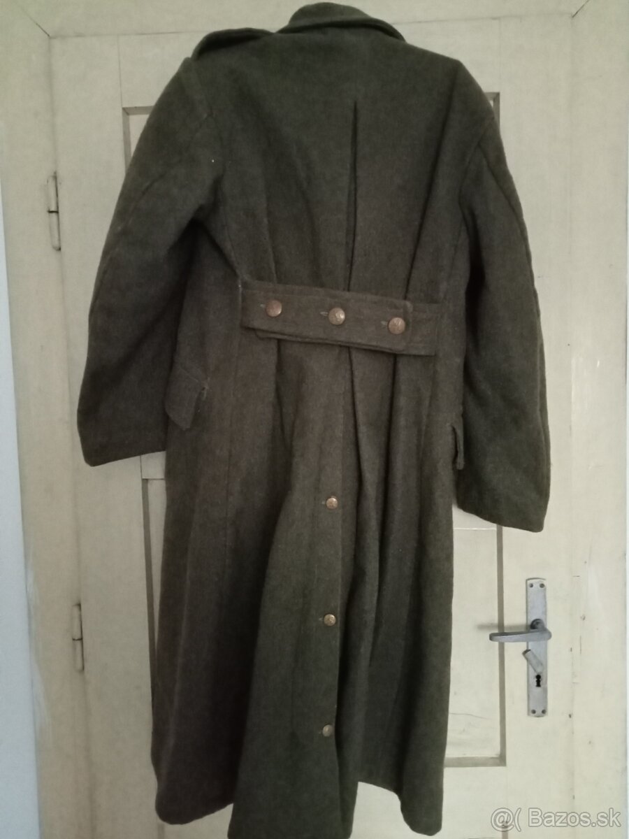 Koprivak belgicko - 2