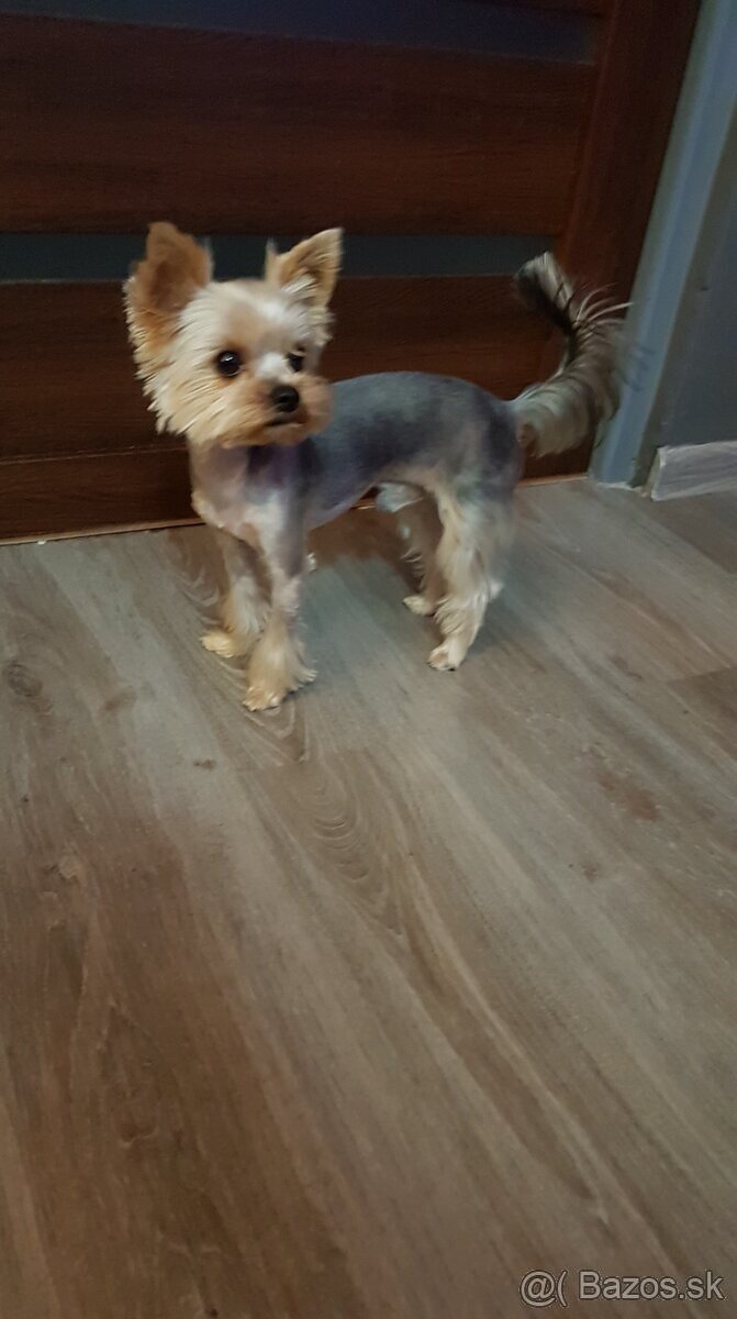 York na krytie.. - 2