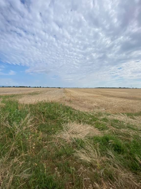 ASSENZIO – investícia do budúcna – orná pôda 2,54 ha, Most p - 2