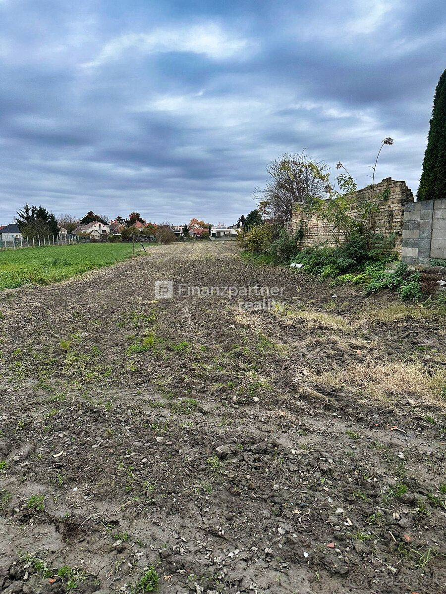 Stavebný pozemok 4702 m² v obci Trstice, Galanta - 2