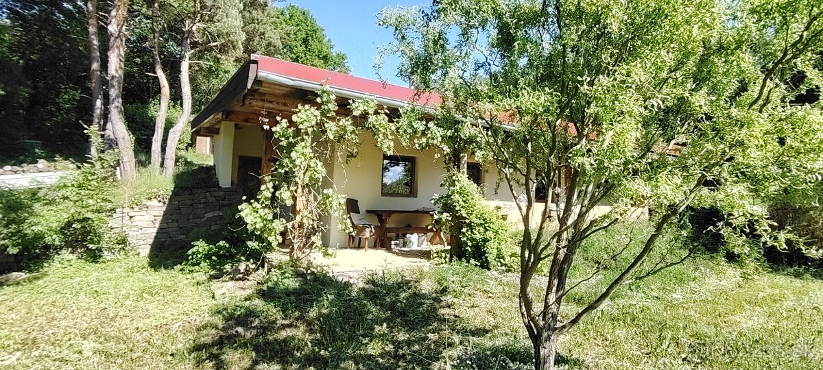 na samote u lesa - 2