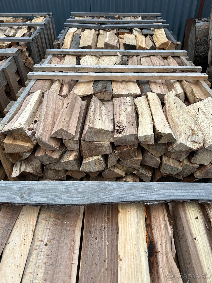 PALIVOVÉ DREVO - 2