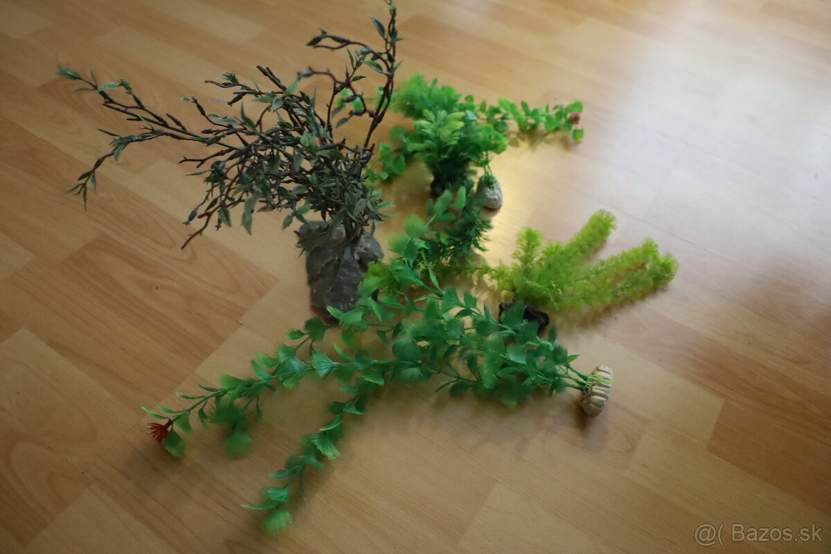 🐠 Kompletné akvárium 60x30x30 – ryby, filter, rastliny, vše - 2