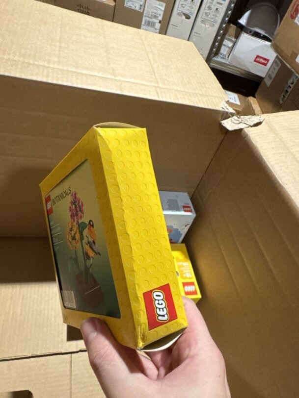 6586991 - LEGO - Butterfly Garden - 2