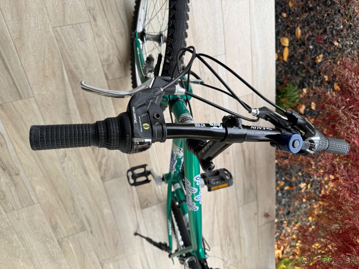 Detský bicykel Alarik 20” s príslušenstvom - 2