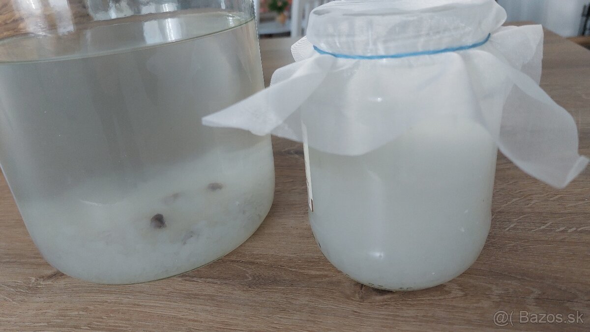 tibi krystaly - tibetska huba na vodovy napoj 250g - 2