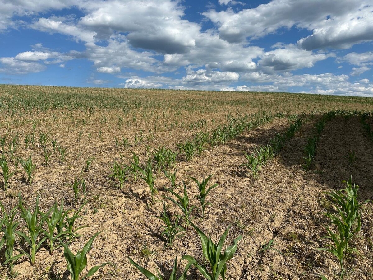 Na predaj krásny slnečný pozemok s výhľadom- Nemšová,5988 m2 - 2