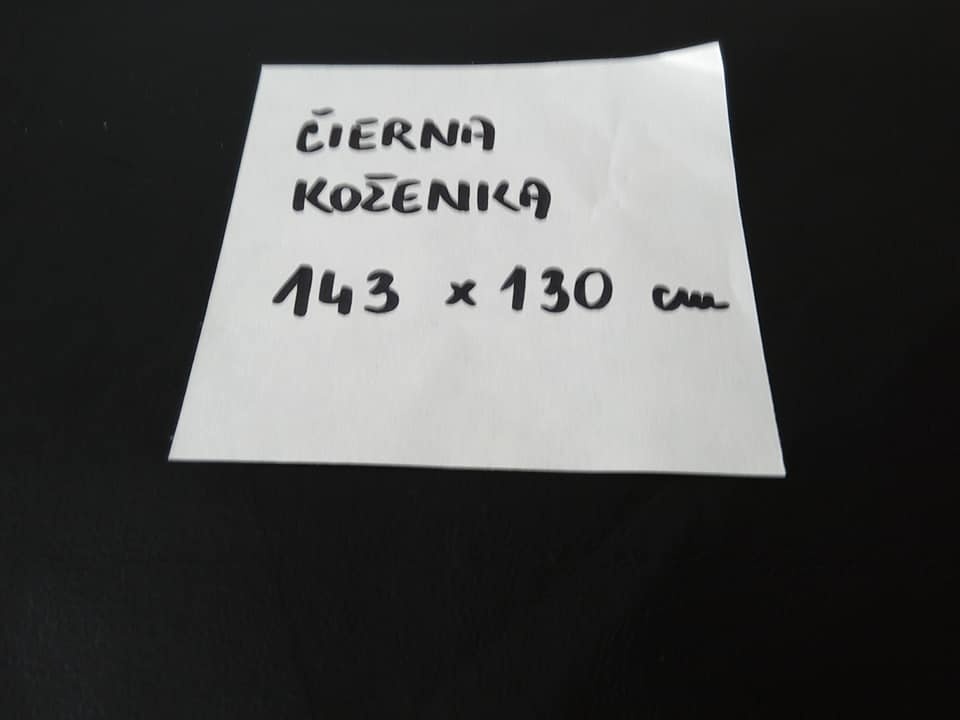 čierna koženka - 2