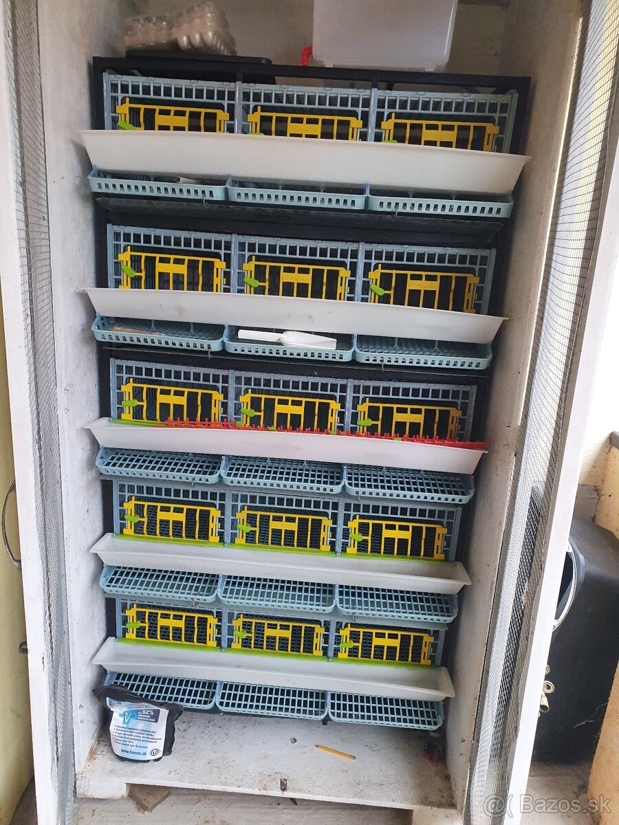 Klietka na chov prepelic - 2