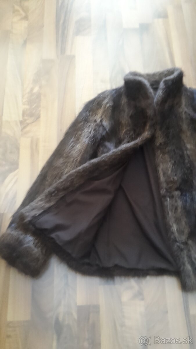 Pravý Kozuch nutria - 2