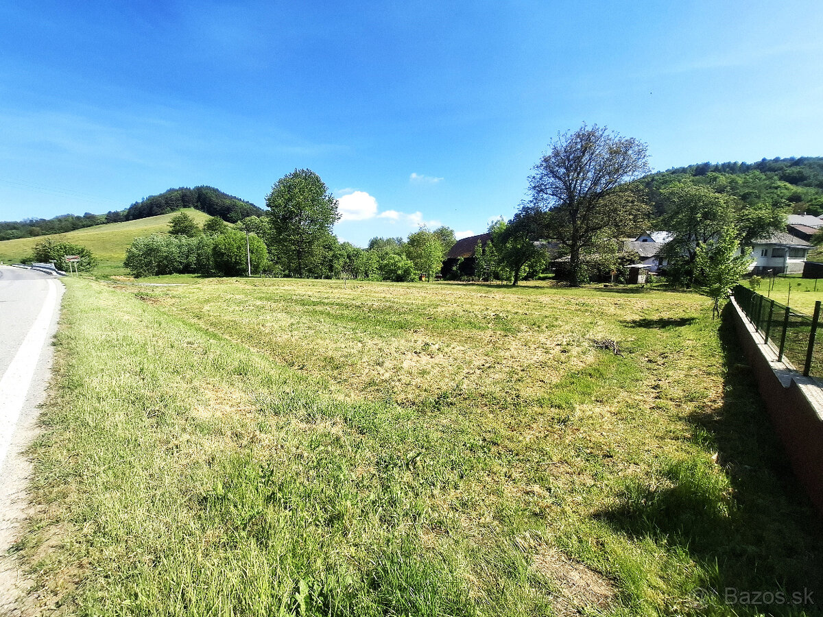 Pozemok v obci Mičakovce okres Svidník - 2