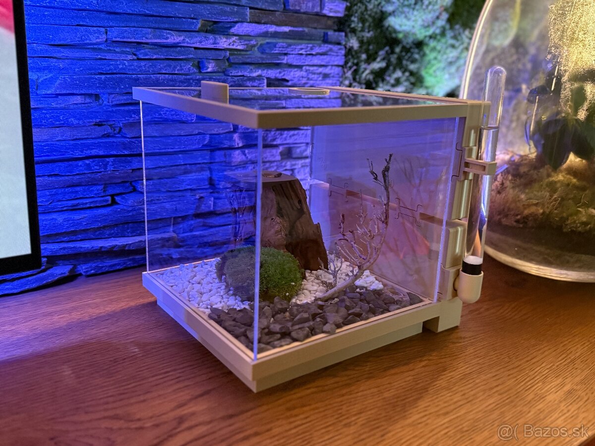 🐜 Predám formikárium s mravcami Camponotus nigrescens - 2