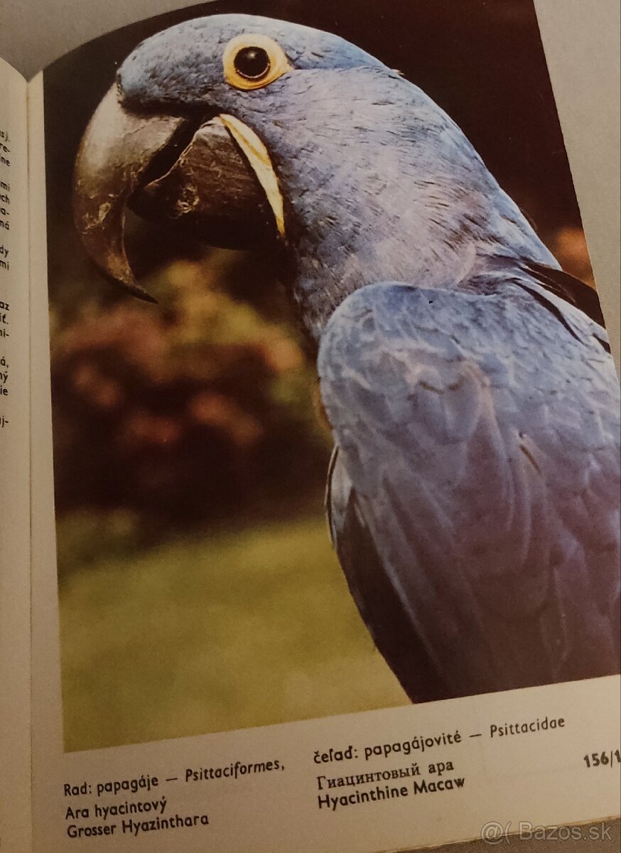 Vreckový atlas cudzokrajných vtákov - 2