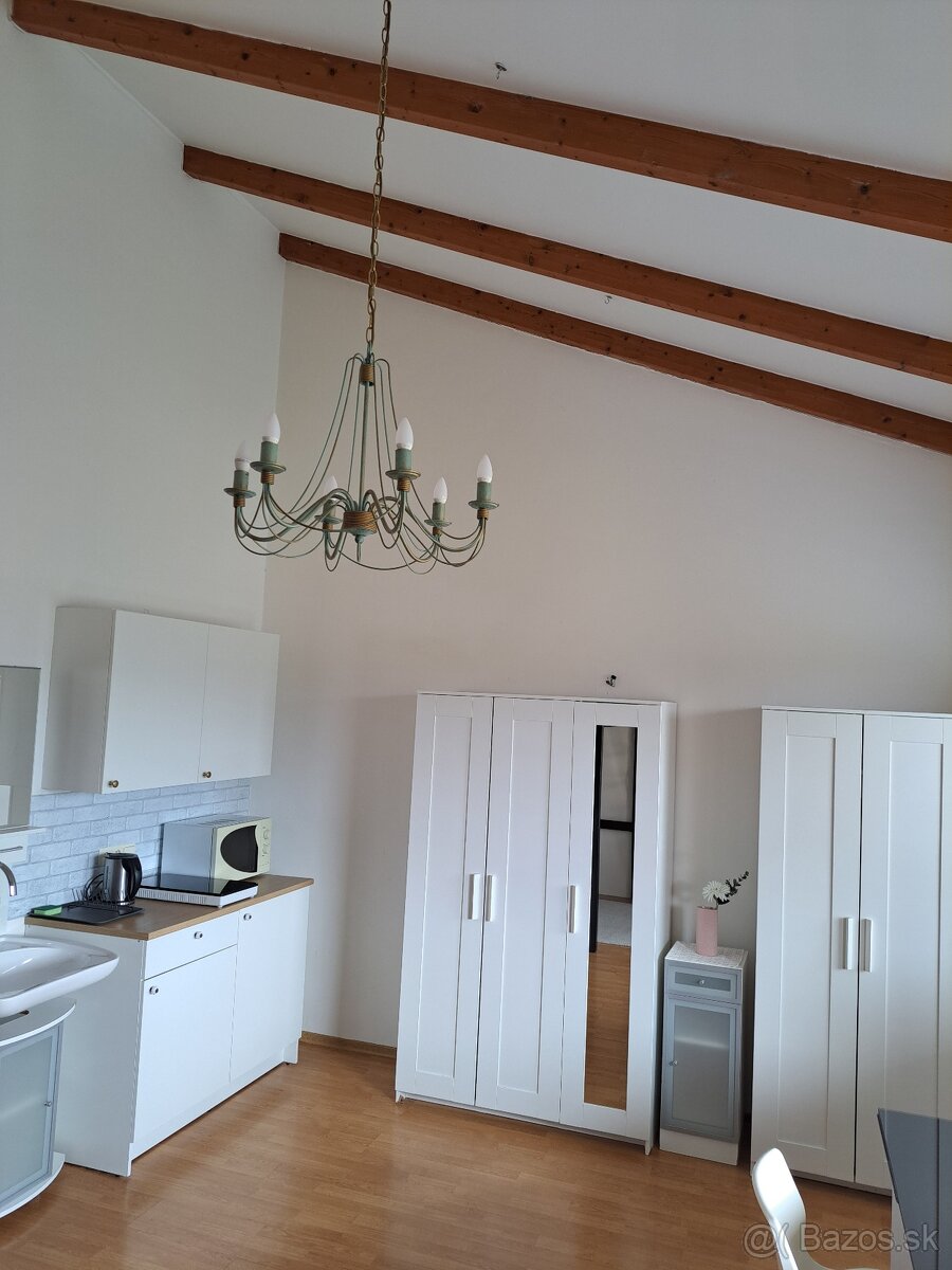 VEĽKÁ IZBA s vysokým stropom - 2