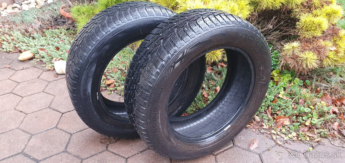 NOKIAN, ZIMNE, CELOROCNE, 205/60 R16, 92H, M+S - 2