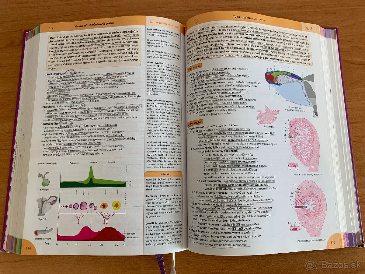 memorix histologie; knihy-prijímačky KE - 2