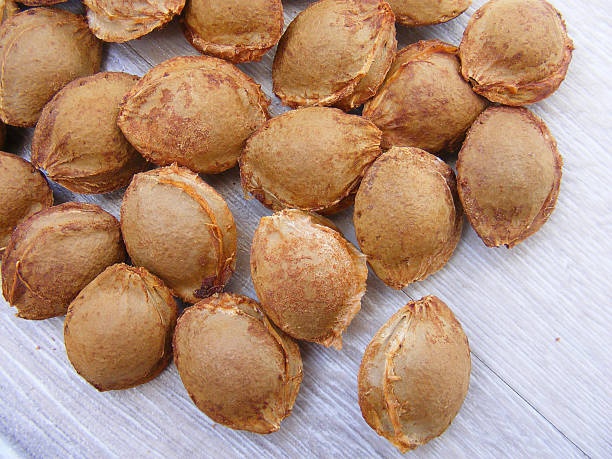 marhuľové kôstky (jadrá) - 2