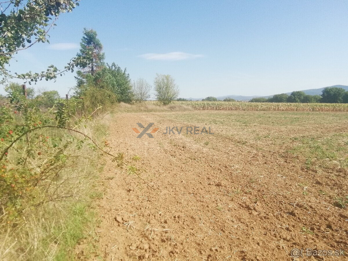 Stavebný pozemok Tesárske Mlyňany 9800m2 v intraviláne obce - 2