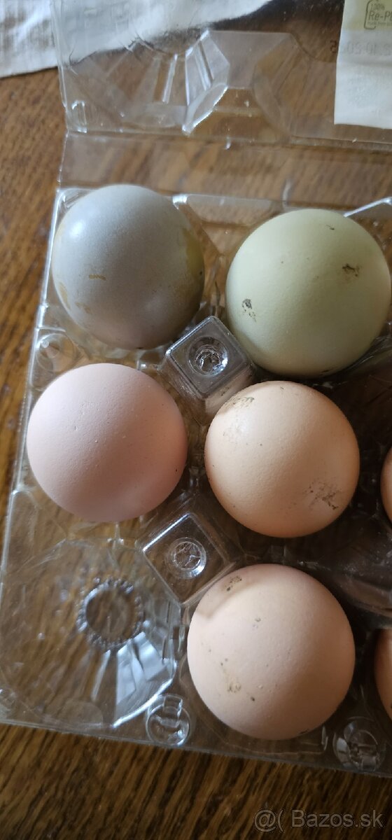 Predam nasadove vajicka - 2