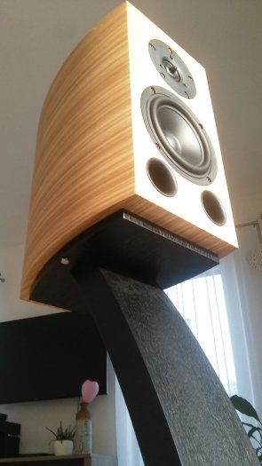 DIY sb acoustics+vifa 25xt - 2