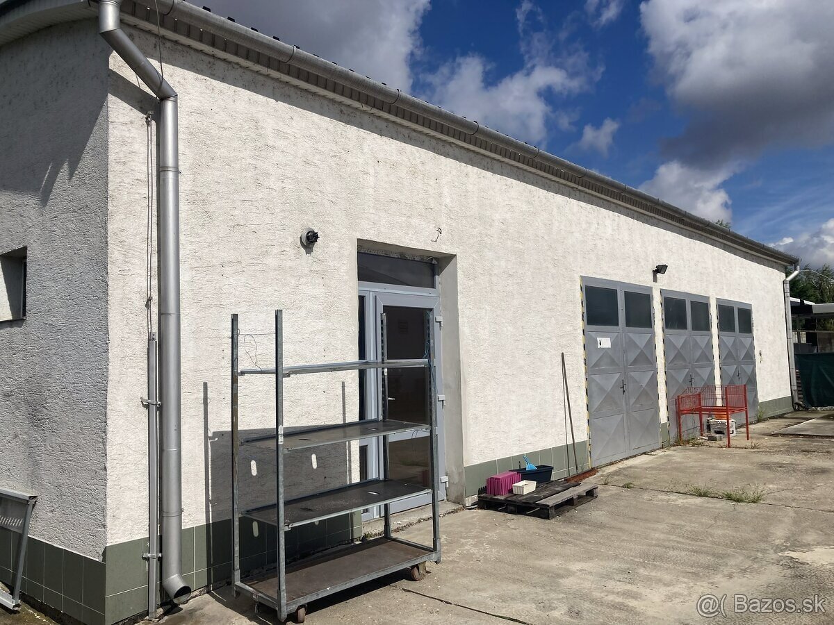 Obchodné priestory na prenájom Šaľa-Veča - 2