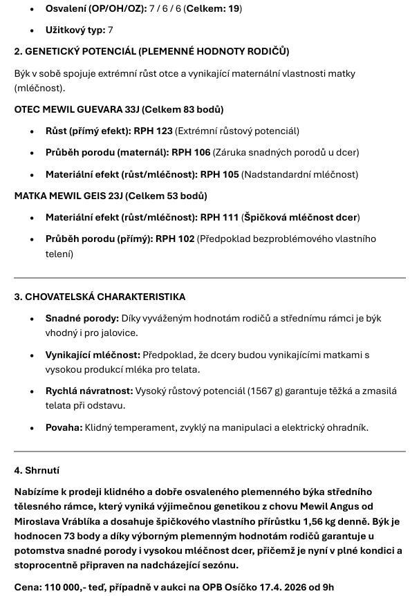 Plemenný býk abeerdeen angus - 2