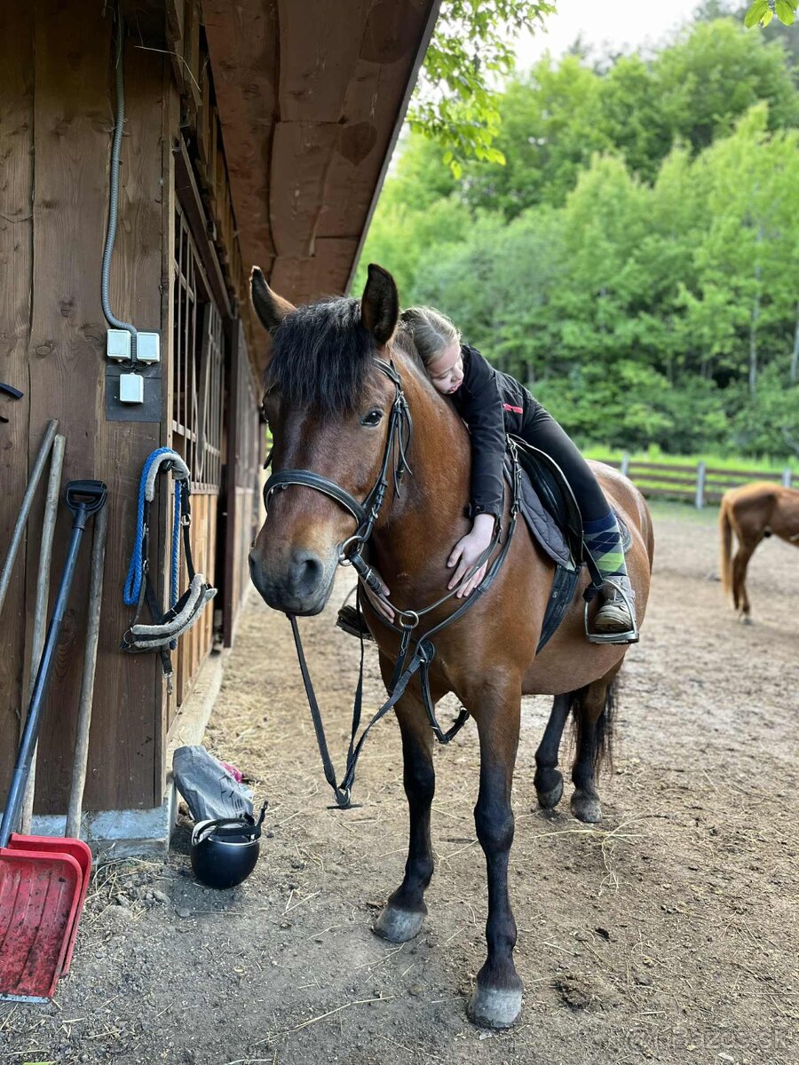 Kobyla na predaj - 2