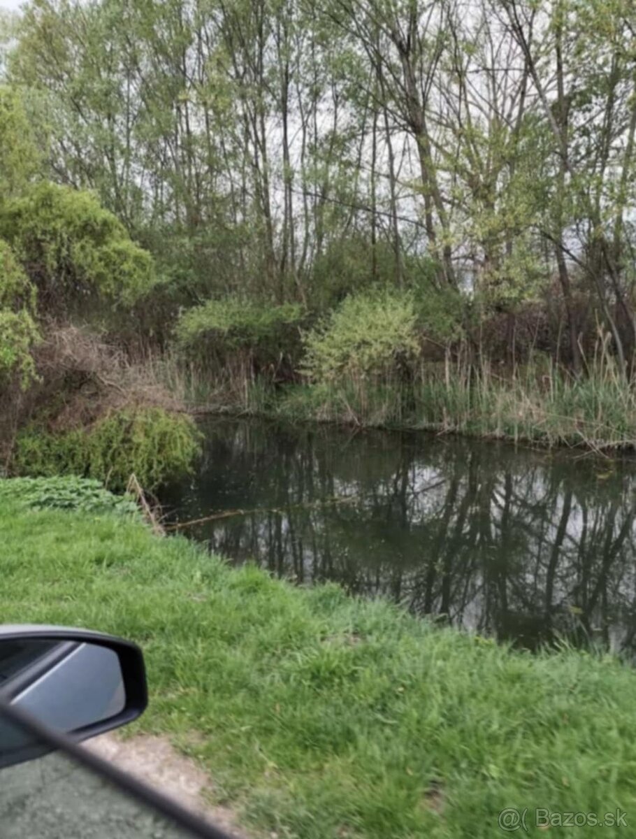 Ponúkame na predaj záhradu v Štúrove - 2