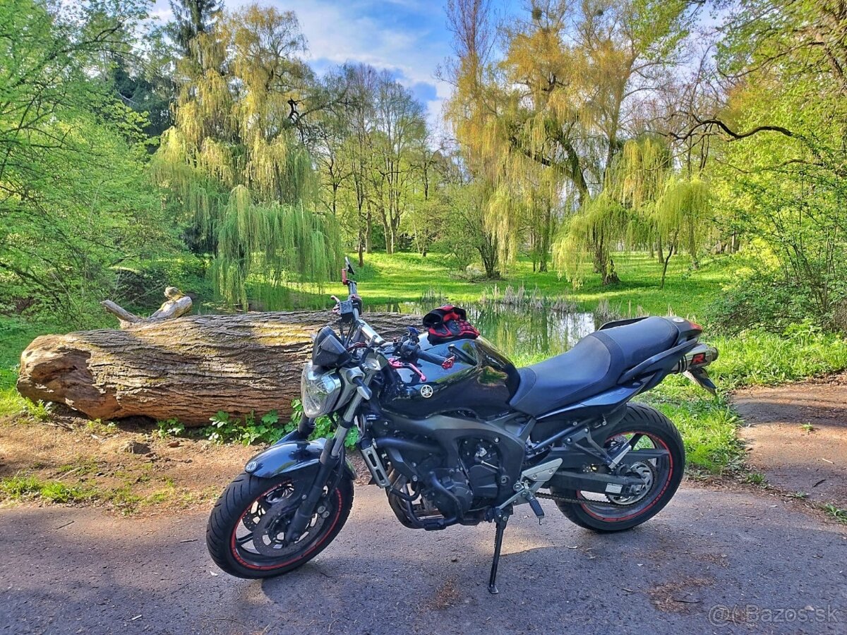 Yamaha FZ6 S2 - 2