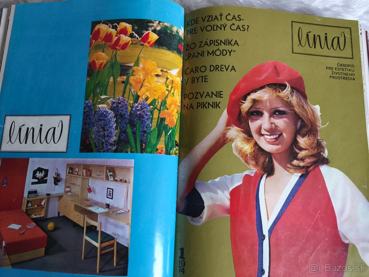 Zviazané časopisy Línia - 2