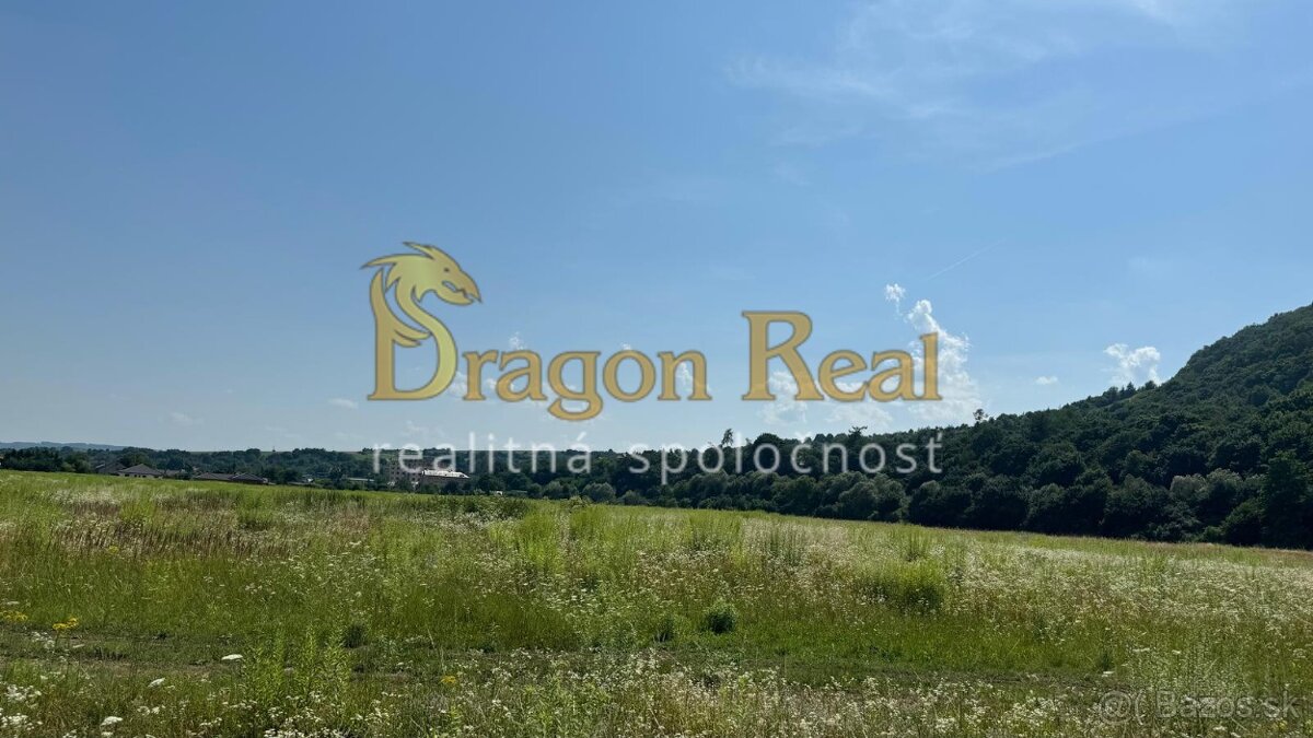 PREDAJ – Investičný pozemok o rozlohe 2768 m2- VEĽKÝ ŠARIŠ - 2