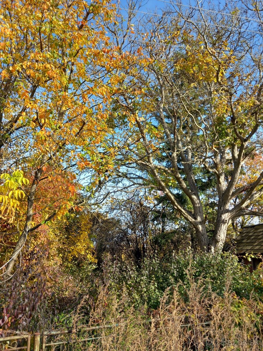 Veľký pozemok cca 3500m2 - 2