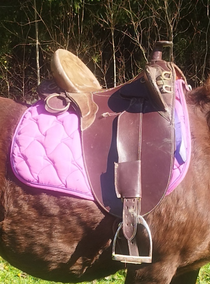 Austrálske sedlo + western deka - 2