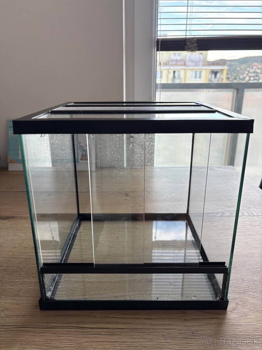 Terarium - 2