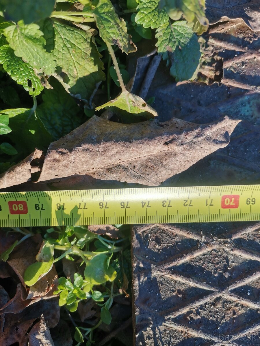 Poklop na sachtu - 2