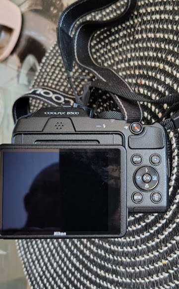 Nikon COOLPIX B500 - 2
