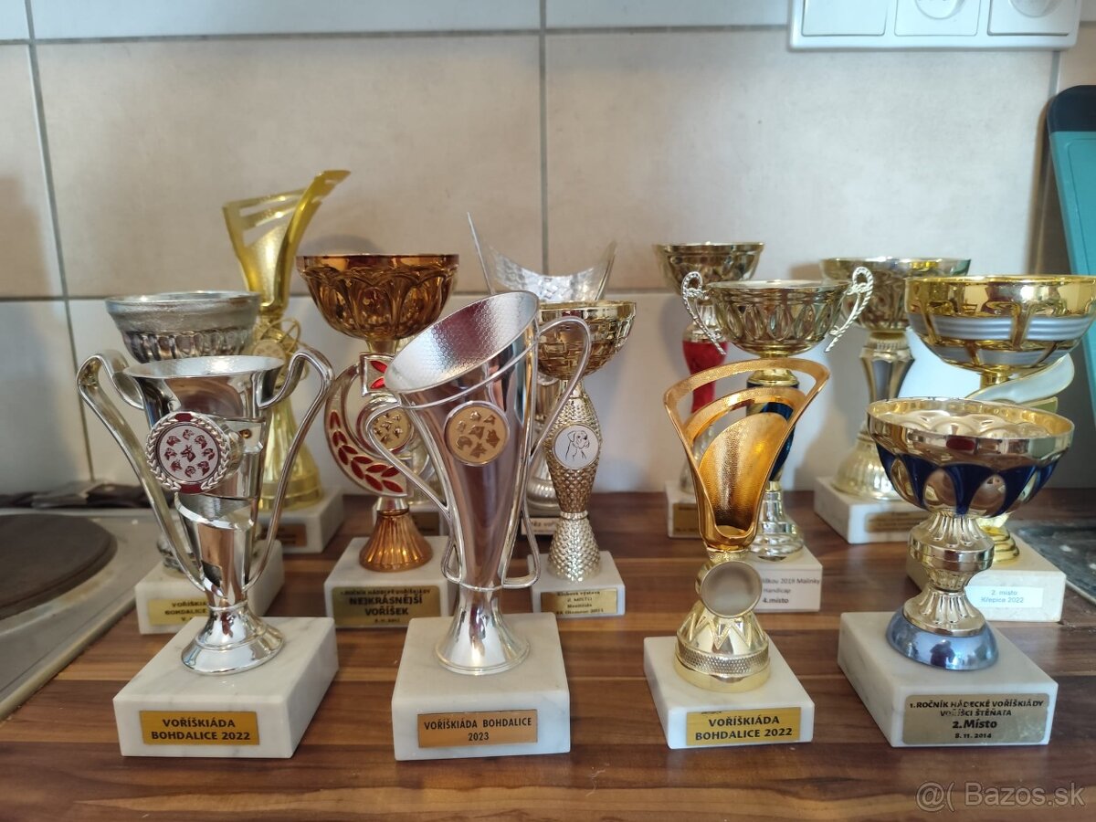 Trofejný, víťazný pohár - 2