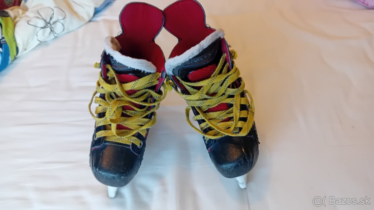 Predám detské Bauer korčule, č.34. - 2
