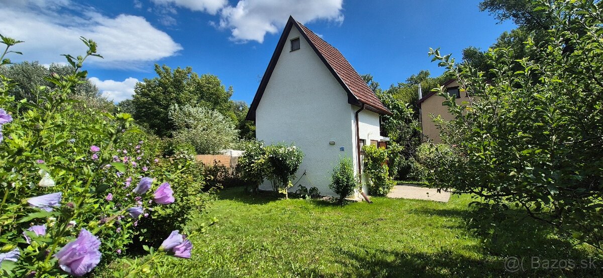 Chata na Devínskej ceste/Karloveské rameno - 2