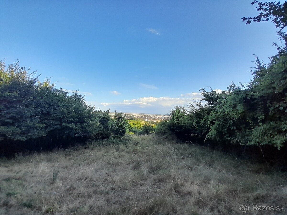 Výhľad, les, minidonček - 2