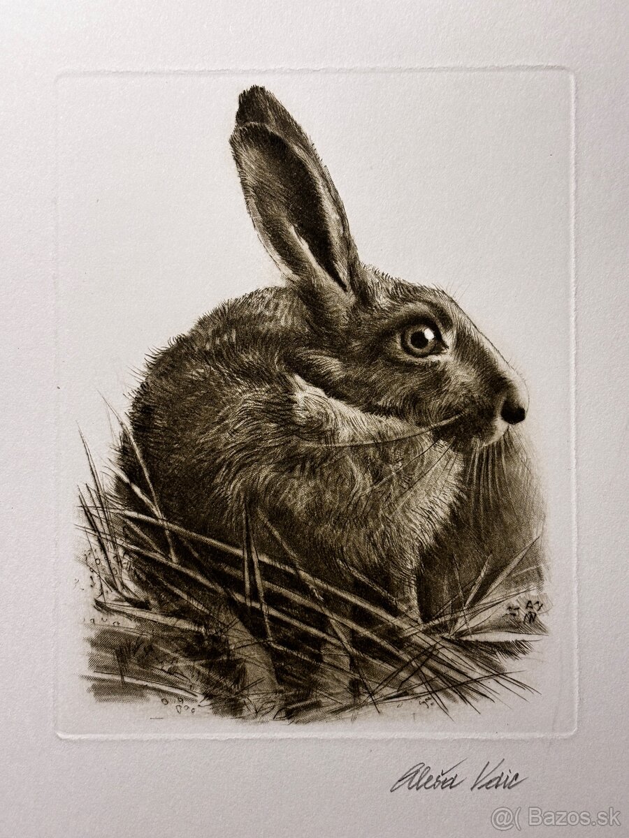 Aleš Vaic - lovecka tematika - 2