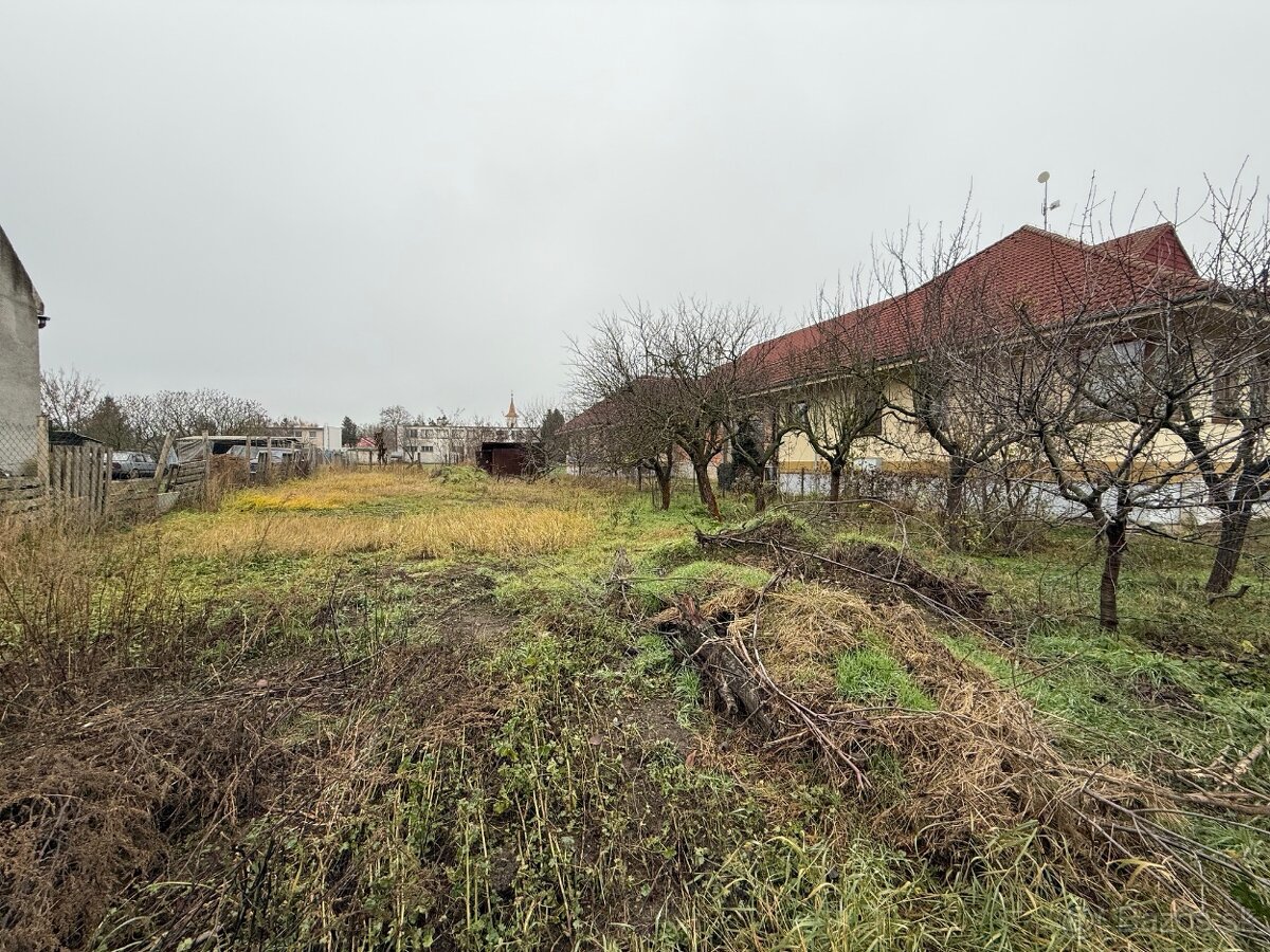 Ponúkam na predaj vyčistený, udržiavaný pozemok v Komárom-Ko - 2