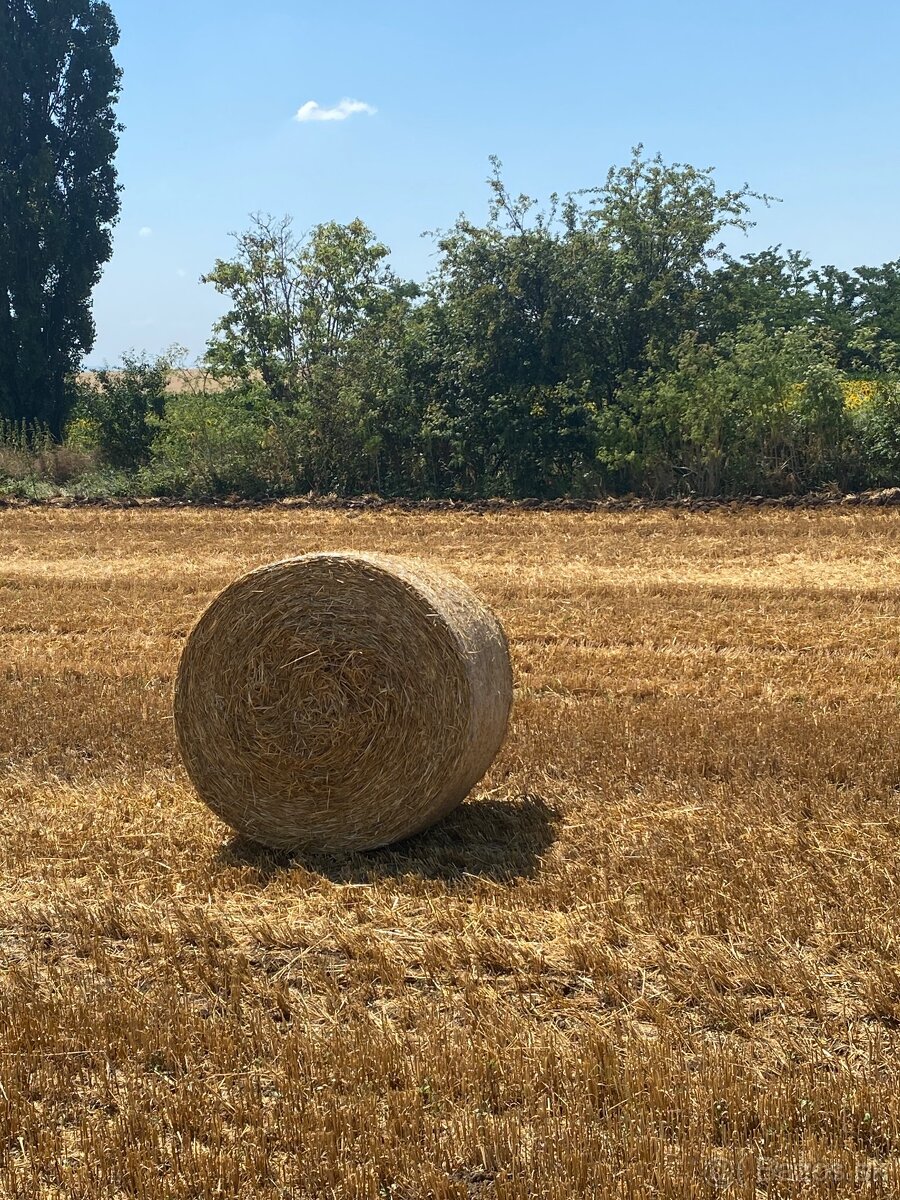 Slama z pod strechy - 2