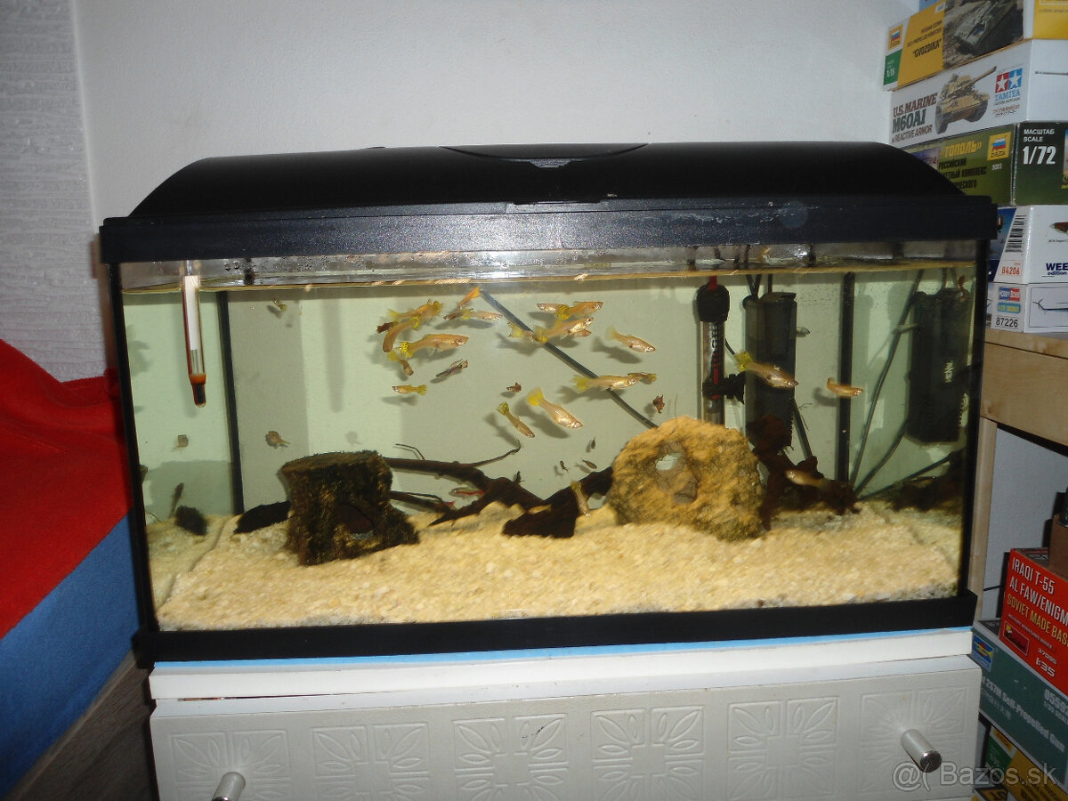 Akvárium 50 l - 2