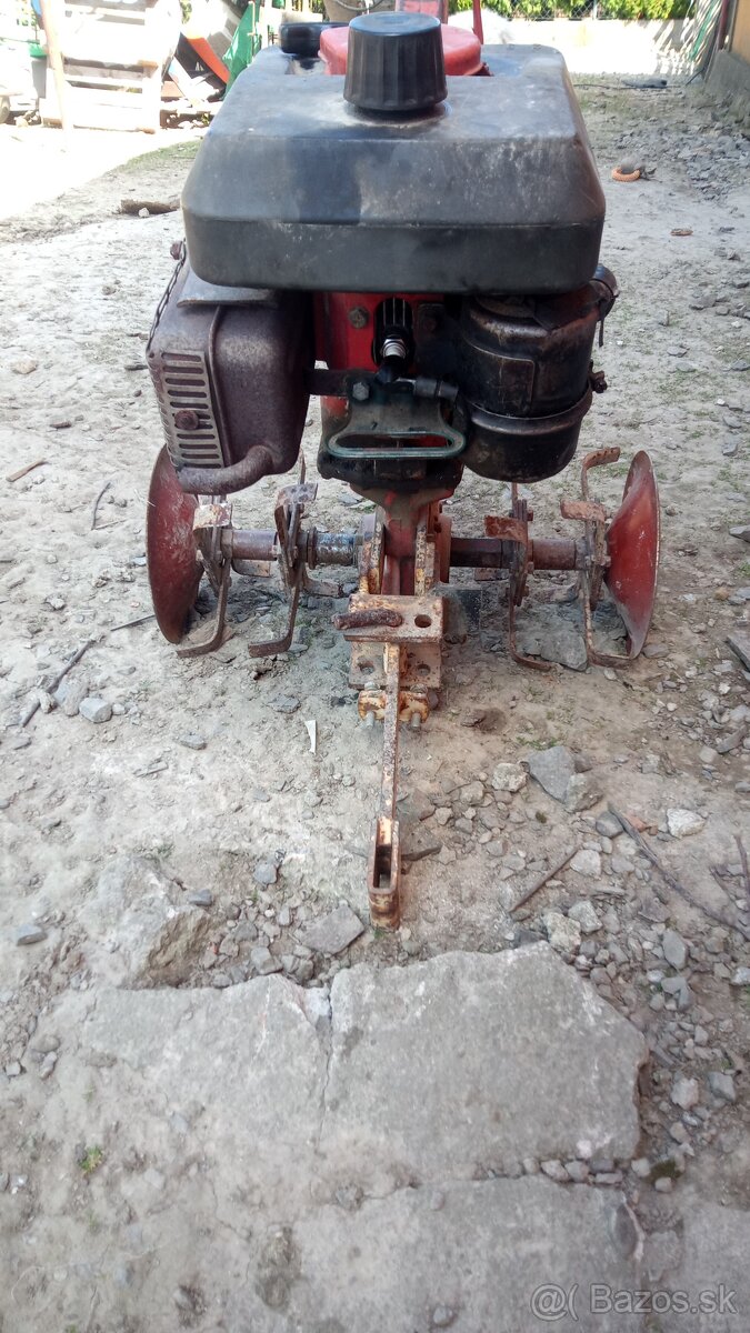 Predám Tera Vari jikov - 2